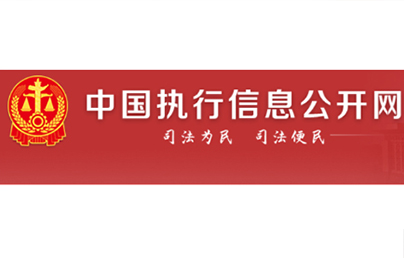 追加被执行人
